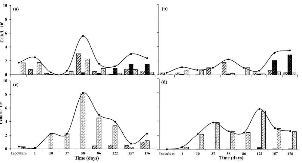 Figure 2 . Time course of microalgae population structure in (a) R1, (b) R2, (c) R3 and (d) R4