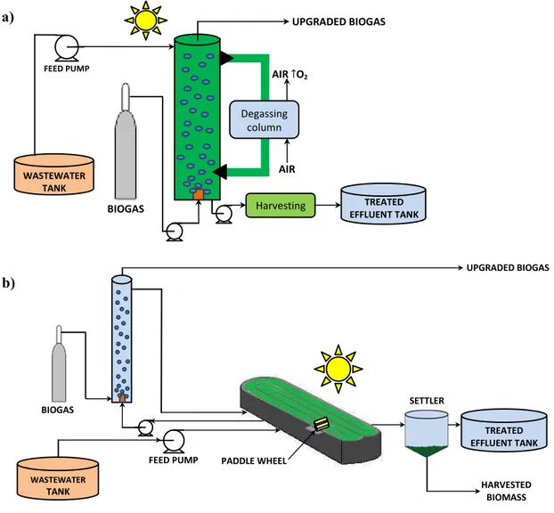 Figure 6. Schematic of algal-bacterial-based biogas upgrading in tubular photobioreactors (a)  and HRAPs equipped with an absorption column (b)
