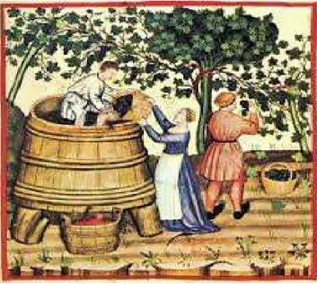 Ilustración 2: Almacenamiento del vino en barrica 