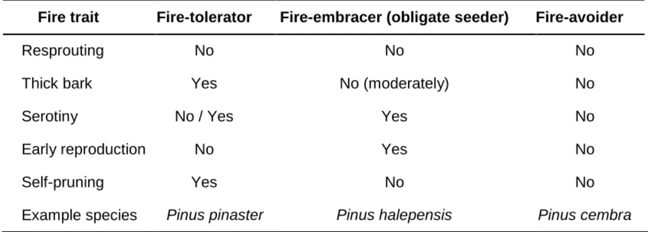 TABLE 1 | Main fire traits for each fire syndrome in pines.  