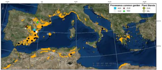 FIGURE 11 | Distribution map of Pinus halepensis source populations (black and grey points -grey  points are two populations not used in Chapter 4-), and all sites used in this thesis