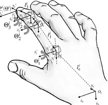 Figure 2: Finger joints [6, p. 195]  
