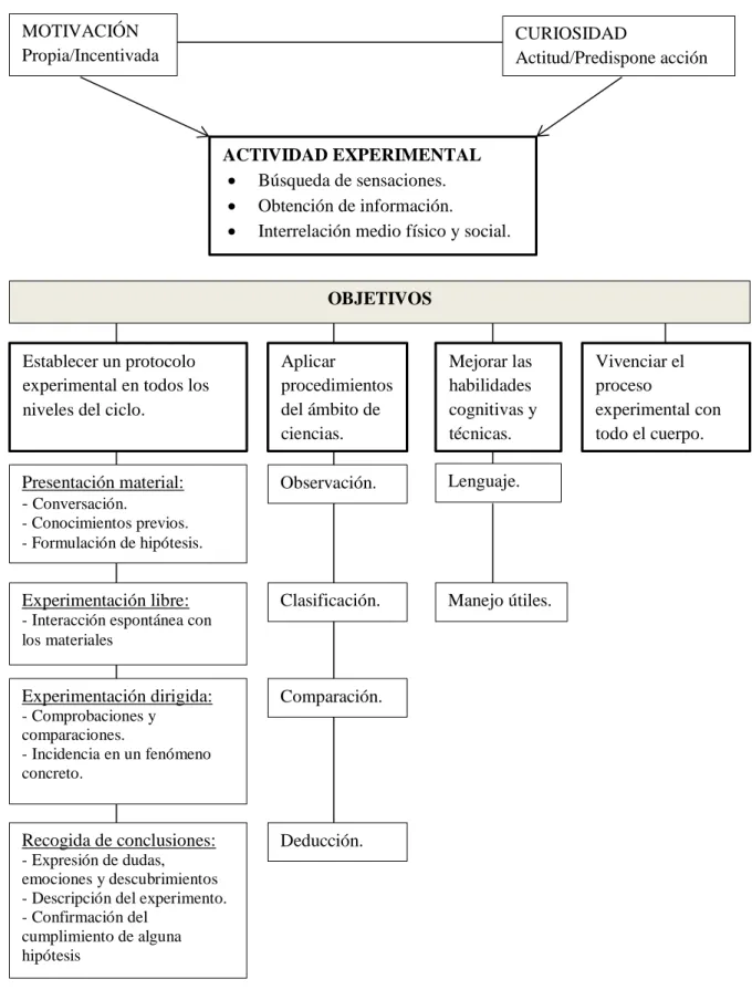 Figura 2: La actividad experimental (Vega, 2006; p. 32) 