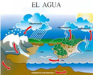 Foto 5: Esquema del ciclo del agua.  