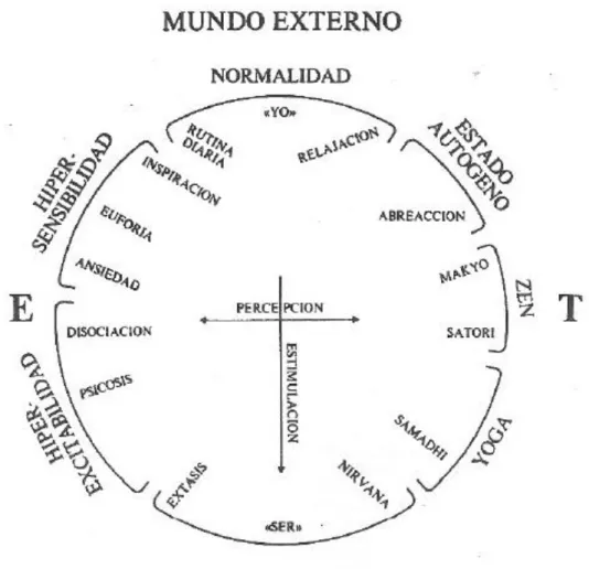 Figura 1. Mapa de los estados de conciencia.  