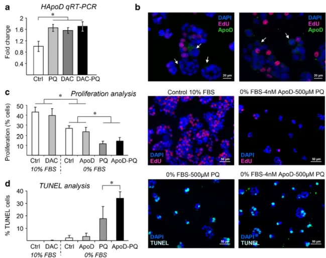 Fig. 6 Cell proliferation and apoptotic death levels of HT-29 CRC cells in relation to ApoD expression and OS levels
