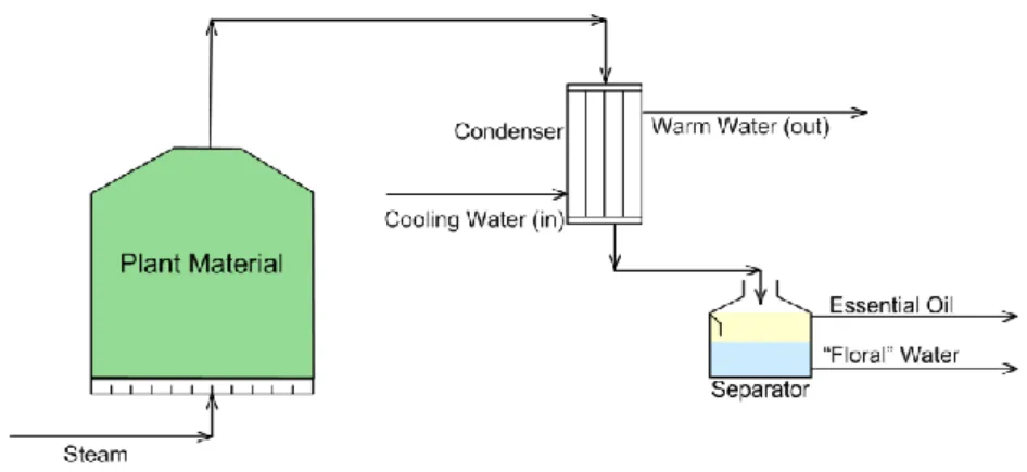 Figure 3. Steam distillation [15].