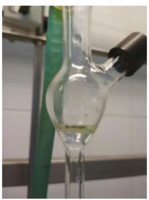 Figure 15. Essential oil on the top of water in Clevenger distillation unit.