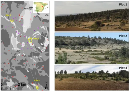 Figure  1.  Location  of  study  sites  (left)  and  view  of  the  three  plots  (right)
