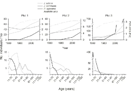 Figure  2.  Density  of  survival  individuals  over  time  respect  to  the  area  available to be colonized (i.e., not cultivated at each temporal moment, upper  graphs) and age structure of individuals present in 2014 (lower graphs)
