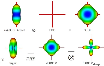 Figure 3.4: Spherical convolution / deconvolution. In a) the convolution between diffusion ODF (dODF) kernel and the fiber orientation distribution (FOD) produces a smooth dODF