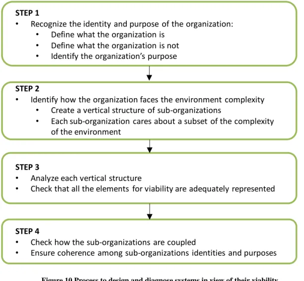 Figure 10 Process to design and diagnose systems in view of their viability 