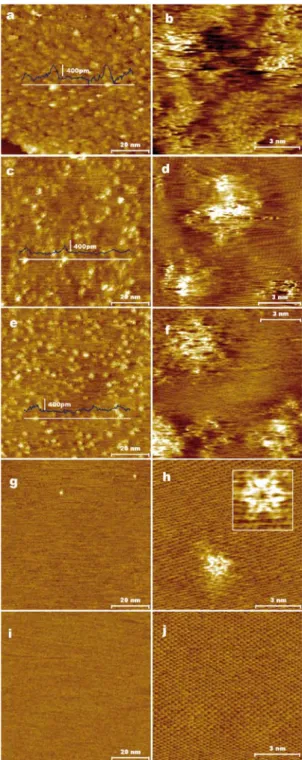 Figure 2 Nanometer- and atomic-scale STM images for the highly reduced graphene oxide sheets  prior to the thermal treatment (a,b) and after annealing at 1773 K (c,d), 1923 K (e,f), 2073 K (g,h)  and 2223 K (i,j)
