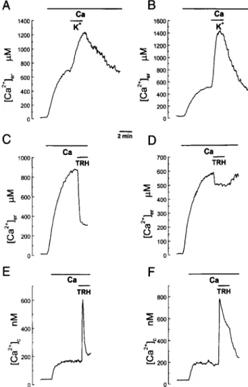 Fig.  5  Effects  of  high  K+  and  TRH  on  [Ca2+le,and  [Ca’+],  in  pHSVerAEQ-infected  GH,  cells  (A,C,E)  and  AP  cells  (B,D,F)