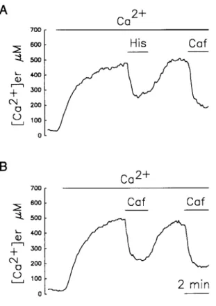Fig.  7  Effects  of  glutamate  (Glu)  and  high  K+  on  [Ca2+ler  in  pHSVerAEQ-infected  cerebellar  aranule  cells