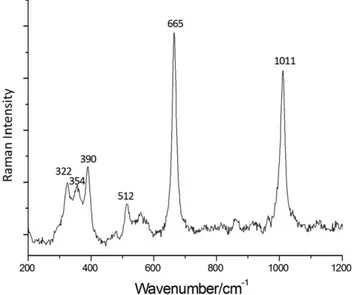 Figure 1. Augite Raman spectrum found in the matrix of the sample, obtained with the 785 nm excitation laser.