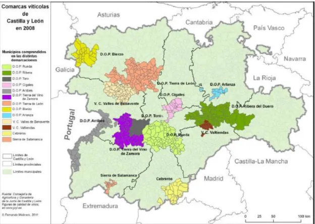 Figura 4. Figuras de calidad y comarcas vitícolas de Castilla y León.  Tomado de MOLINERO (2011, p