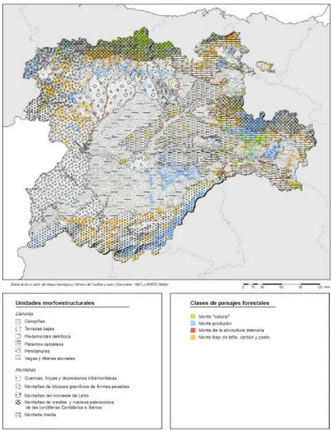 Figura 8. Clases de paisaje forestal y unidades del medio físico de Castilla y León.  Tomado de GUERRA (2010)