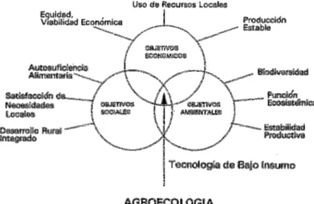 Figura 0.1. Objetivos de la Agroecología 