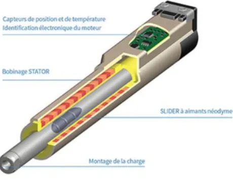 Figura 1.1: Partes del motor lineal. 