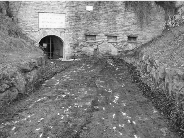 Figura  2.  Entrada  a  la  cueva  de  Astitz  al  inicio  de  los  trabajos.  Destaca  el  imponente  muro  de  cierre con el enlosado de entrada sucio tras la retirada de una gruesa capa de hojarasca.  
