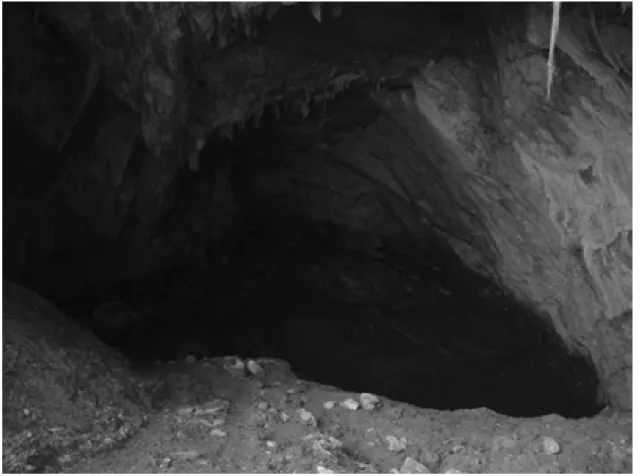 Figura  3.  Vista  general  del  fondo  de  la  Sala  de  entrada  desde  la  boca  de  Mendukilo.  Es  apreciable el fuerte desnivel y la escasa iluminación del fondo. 