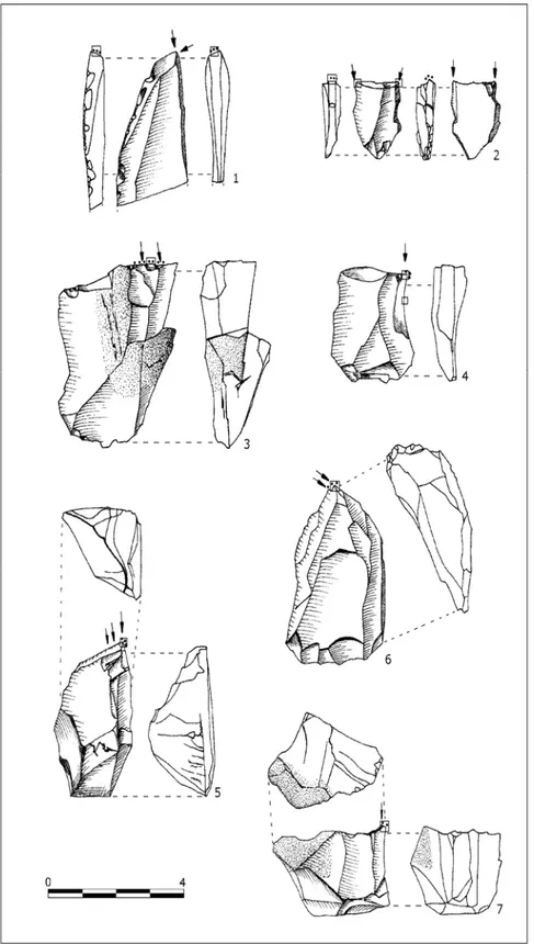 Figura 1. Buriles con huellas de uso. Nivel IIb: n os  1‐4; Nivel II: n os  5‐7. 