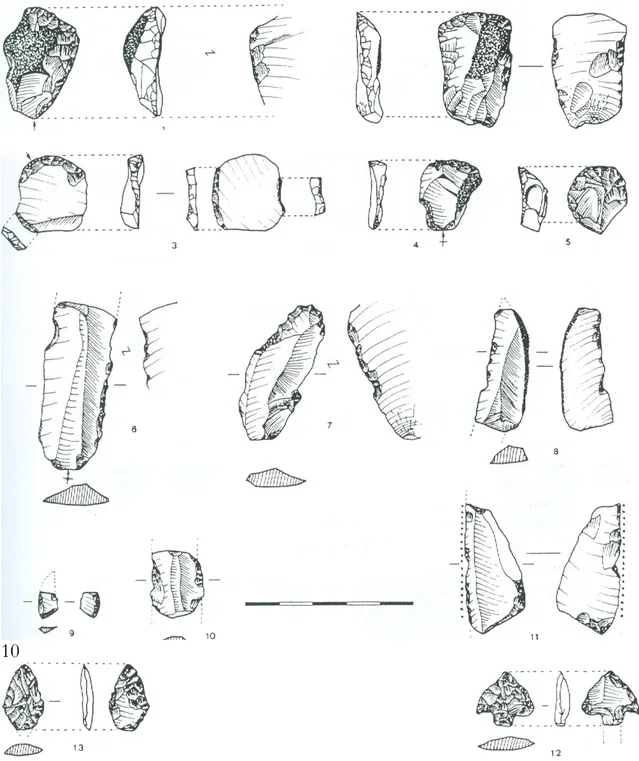 Fig. 5  Industria lítica de Saso II. Raspadores (n° 1-5), muescas y denticulados (n° 6-8 y 10), microlito  geométrico (n0 9), puntas de flecha (n° 12-13) y elemento de hoz (n° 11)