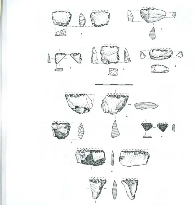 Fig. 6  Industria lítica de Saso II. Elementos de hoz (n° 1-10). 