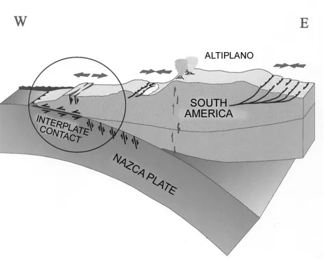 Figura 1.  Subducción de la Placa de Nazca bajo la Placa Sudamericana. El contacto entre placas corres- corres-ponde a una falla inversa en la cual el continente sube sobre el fondo oceánico