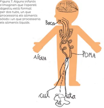 Figura 7. Alguns infants  s’imaginen que l’aparell  digestiu està format  per dos tubs, un que  processaria els aliments  sòlids i un que processaria  els aliments líquids