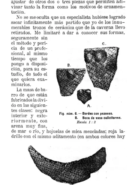 Fig.  núm.  6.  - Bordes con  pezones. 