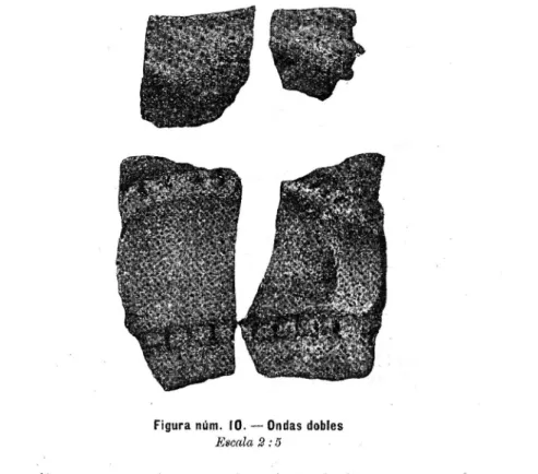 Figura núm.  10. - Ondas  dobles  E8cala 2:5 