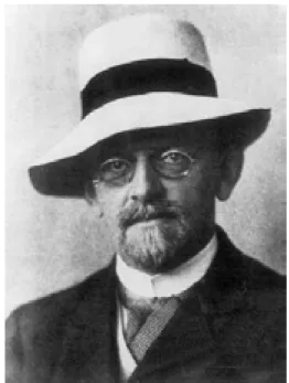 Figura 11.  David Hilbert (1862-1943). 