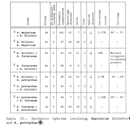 Table  IV.-  Synthetic hybrids involving Asplenium billotii*