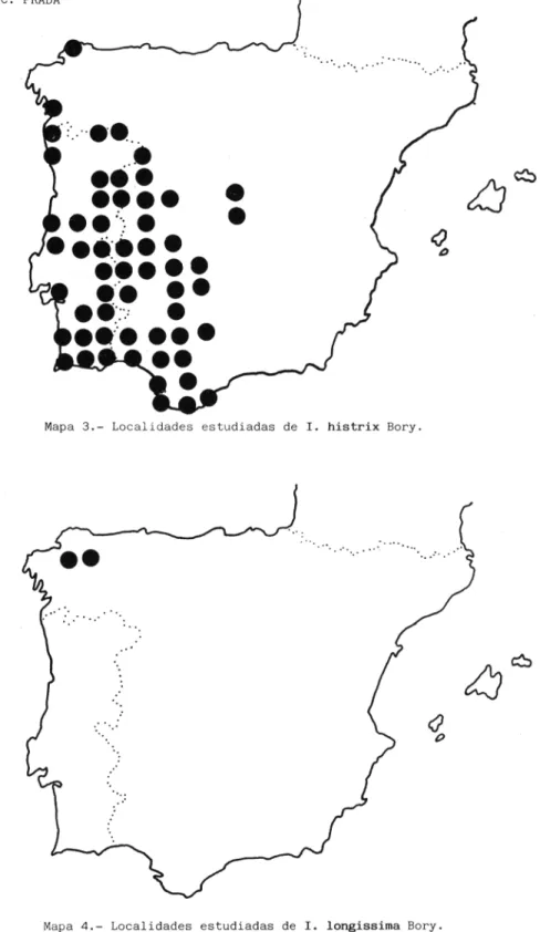 Mapa  4.—  Localidades estudiadas de  I. longissima  Bory.