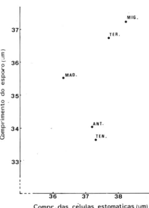 Fig.  5. Estudo  comparativo entre o  comprimento dos esporos e o das células  estomáticas  de Diplazium caudatum nas  libas  Macaronésias.