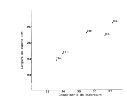 Fig. 7. Estudo comparativo entre o comprimento e a largura dos esporos de  Diplazium caudatum nas Ilhas Macaronésicas