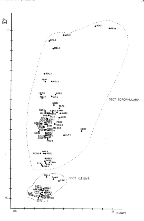 Fig.  2.  Diagrama de dispersión simbólica de las poblaciones estudiadas del género  Scrophularia en la Península Ibérica e Islas Baleares en función del diámetro de los lúmenes  (L)  y de la anchura de la  exina  (Ex) en los granos de polen.