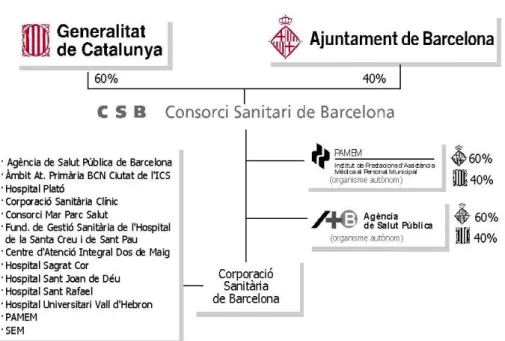 Figura 1. Estructura del CSB, 2011 