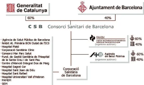Figura 1. Estructura del CSB, 2017 