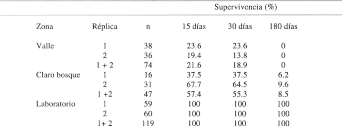 Tabla  2:  Porcentajes de supervivencia de  plántulas  procedentes de piñones, mayores de  60  mg, germinados en distintas zonas de la Reserva de  Grazalema,  a los  15, 30  y  180  días tras la germinación