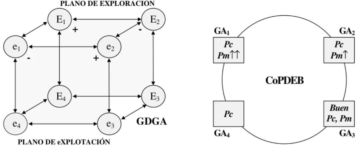 Figura 2.14. GDGA (izquierda) y CoPDEB (derecha), dos AGs distribuidos heterogéneos.