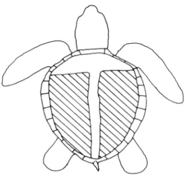 Figure  2.  Distribution of  Polysiphonia careitia