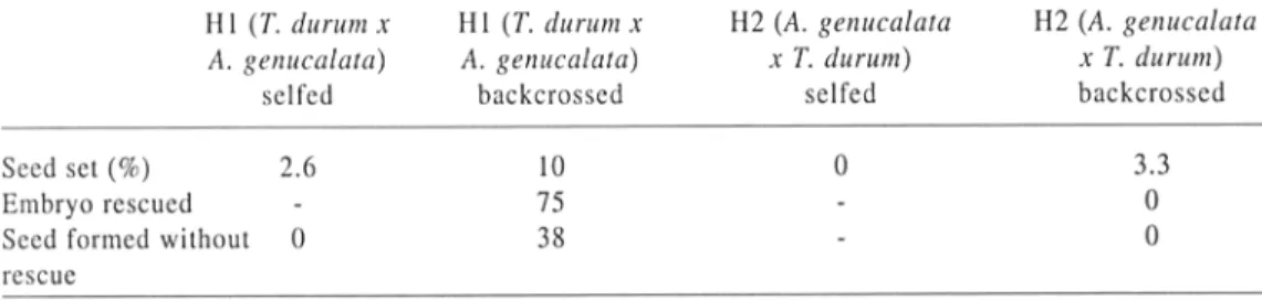 Table 6: Seed set and germination rate in HI and H2 hybrids.