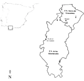 Figura  I.  Mapa de localización de las muestras estudiadas. 1: Alcalá de los Gazules (AL1); 2: Arcos de la Frontera (AL2); 3: Los Barrios (AL3); 4: