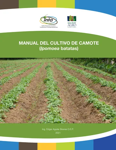 Plagas Y Enfermedades Plagas Manual Del Cultivo De Camote Ipomoea Batatas 1930