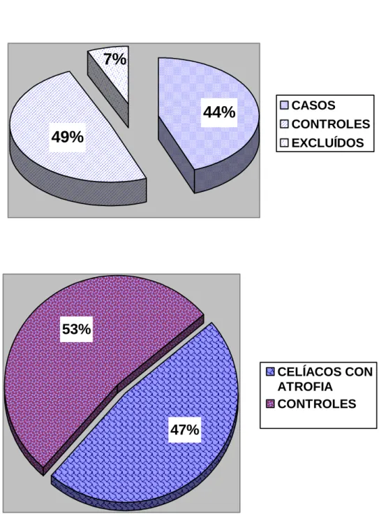 Figura 6. Distribución porcentual de los grupos estudiados 