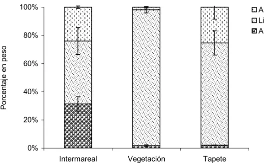 Figura 3.2.- Porcentaje en peso de arenas, limos y arcillas en el sedimento del  intermareal y de la marisma