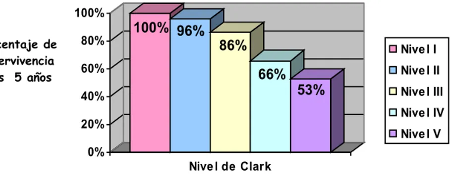 Figura I.13. Supervivencia a los cinco años según el nivel de Clark